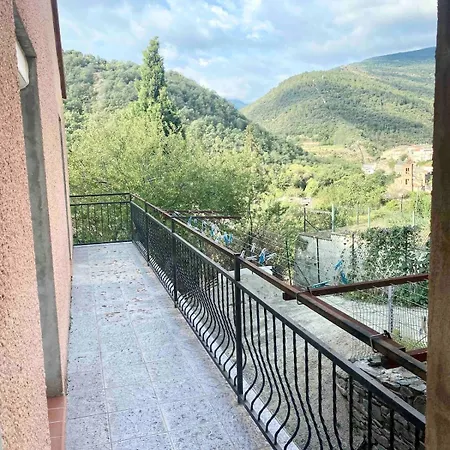 Large Family Mountain Views